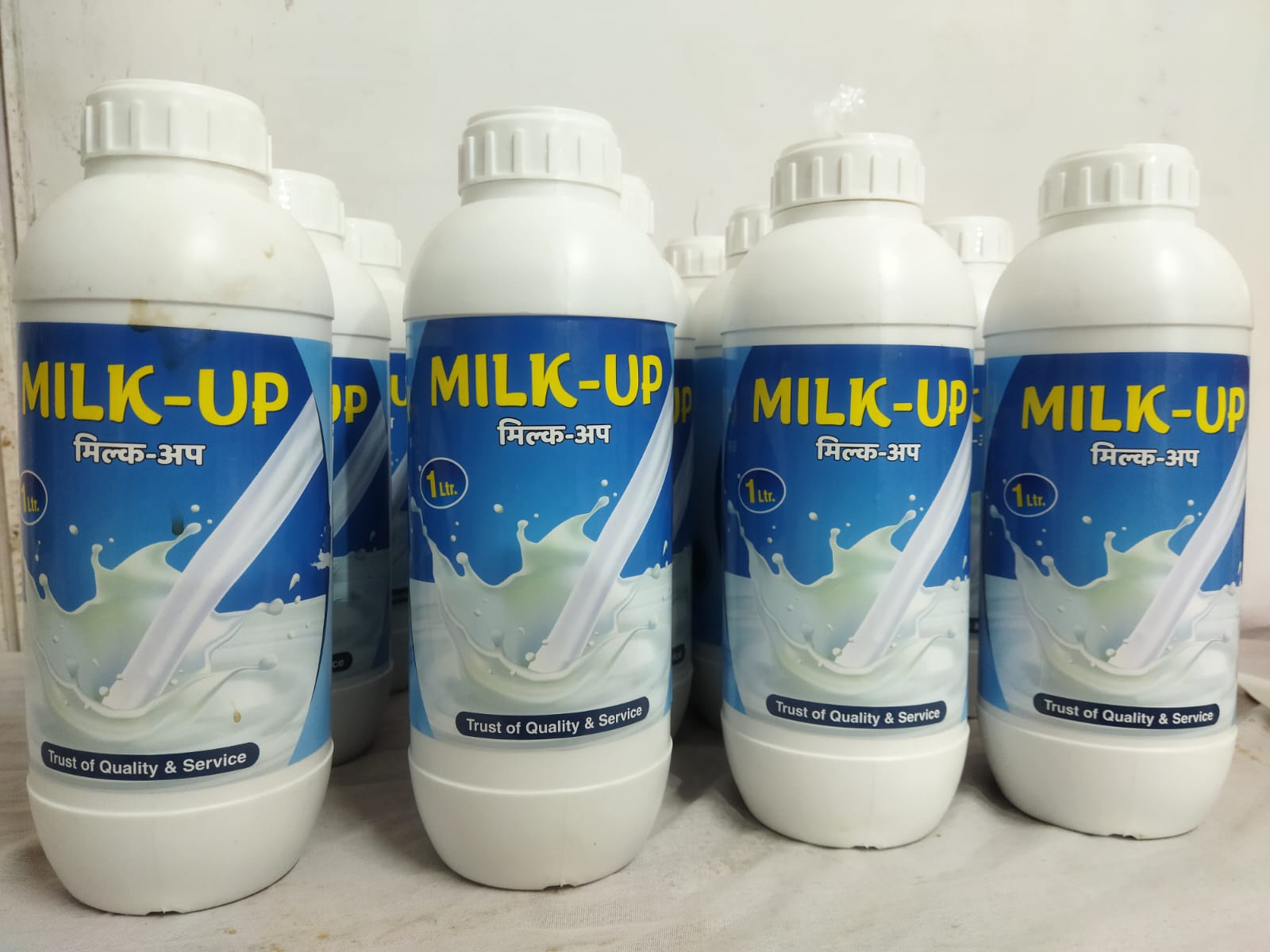 WhatsApp Image 2025-06-30 at 8.07.36 PM.jpeg